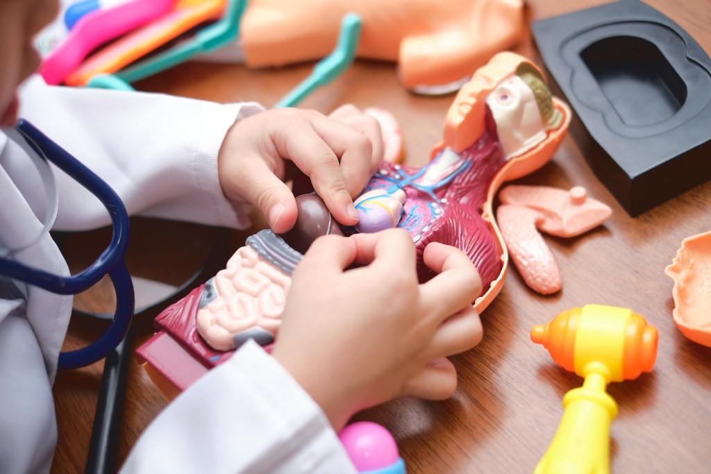 Exploración genital infantil: guía para padres en el desarrollo infantil