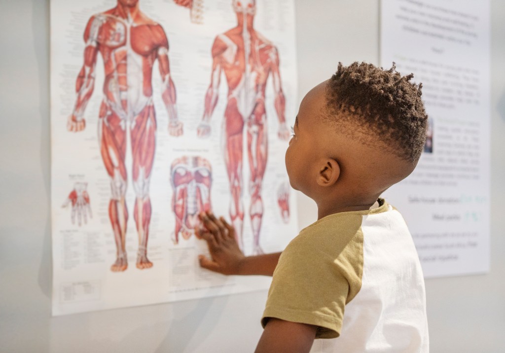Exploración genital infantil: guía para padres en el desarrollo infantil