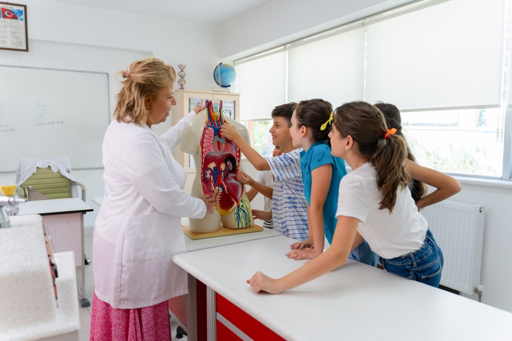 Exploración genital infantil: guía para padres en el desarrollo infantil