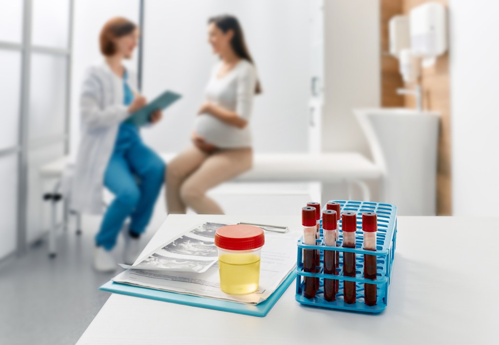 Análisis de sangre en el embarazo: cómo interpretarlos y qué significan sus valores