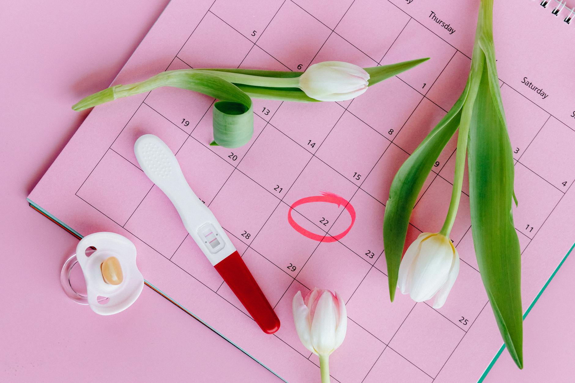 white and pink tulips on pink surface
