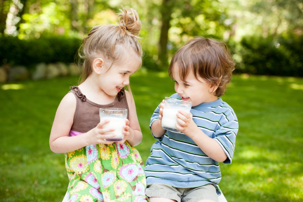 Leche infantil: guía completa para elegir la mejor opción para tu hijo