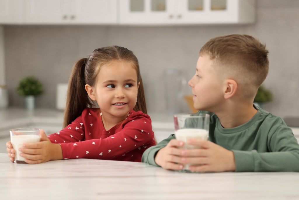 Leche infantil: guía completa para elegir la mejor opción para tu hijo