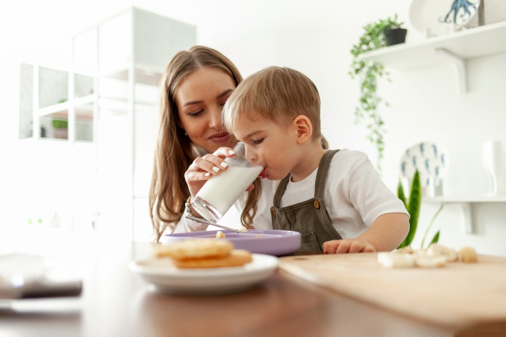 Leche infantil: guía completa para elegir la mejor opción para tu hijo
