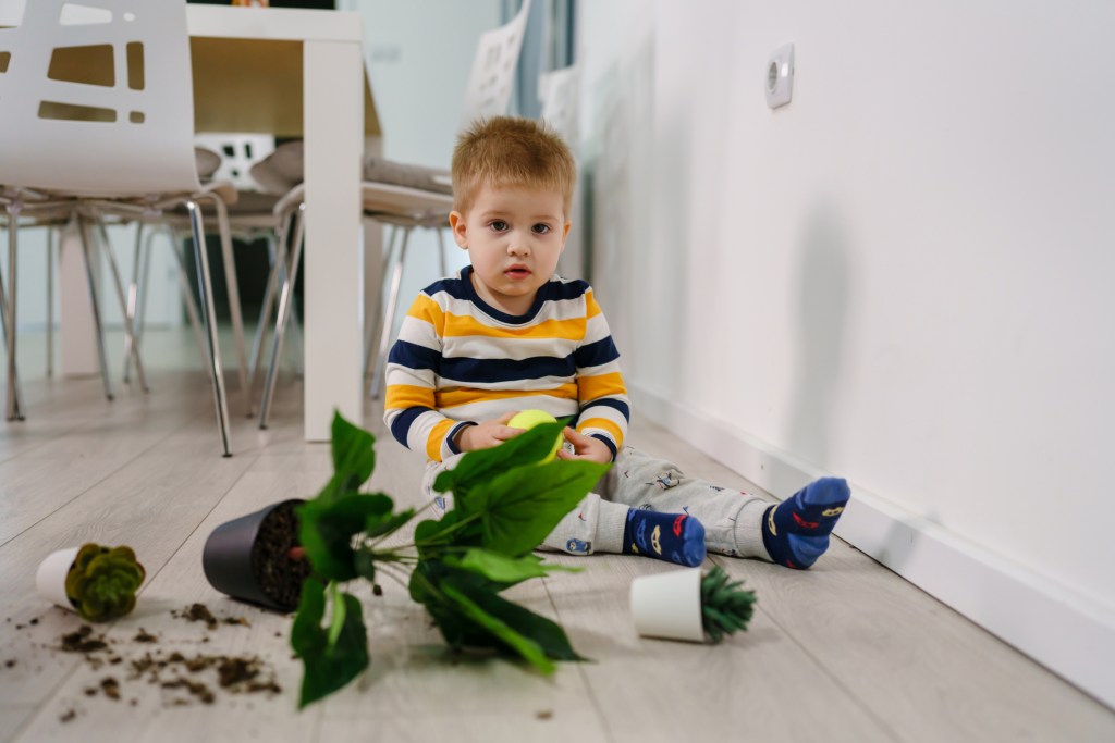 Mi hijo lanza objetos y no hace caso cuando le regañamos