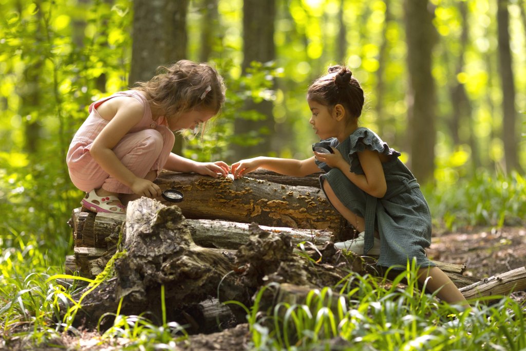 cuidado del medio ambiente infantil