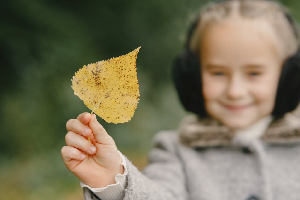 Manualidades de otoño para niños