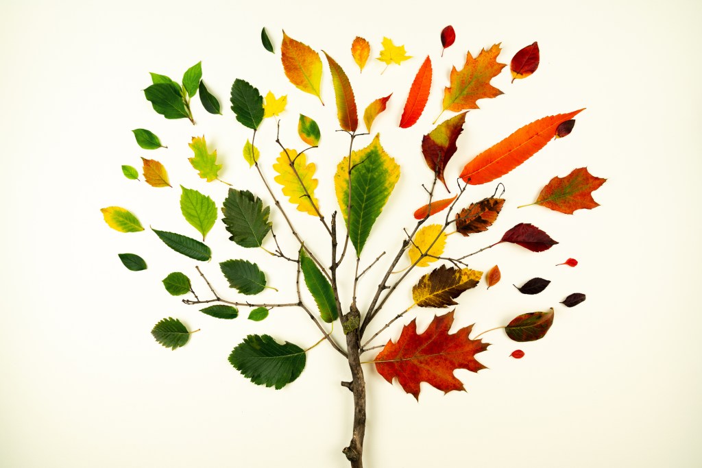 Manualidades de otoño para niños