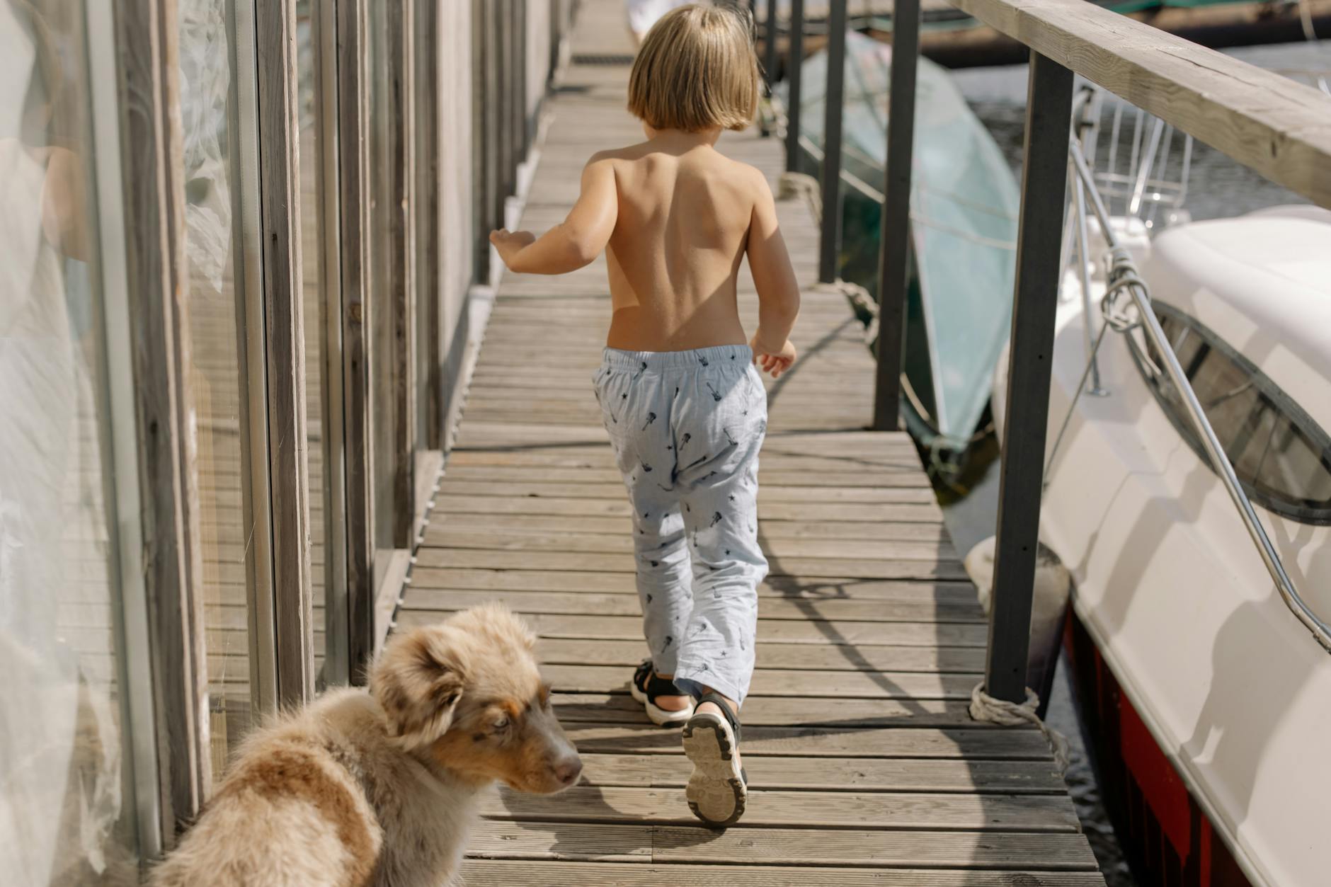 little boy and dog on wooden pier