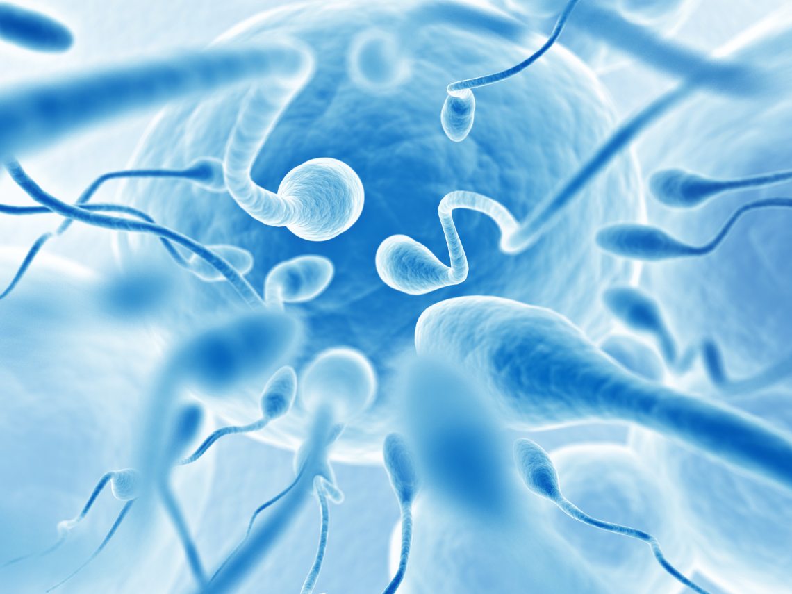 Anticuerpos antiespermatozoides en el hombre