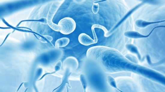 Anticuerpos antiespermatozoides en el hombre