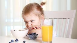 Trucos y consejos para conseguir que los niños coman de todo