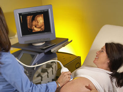 La placenta: un completo suministro para tu bebé
