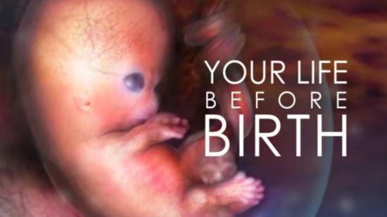 El vídeo con imágenes reales que muestra la vida del bebé en el vientre materno