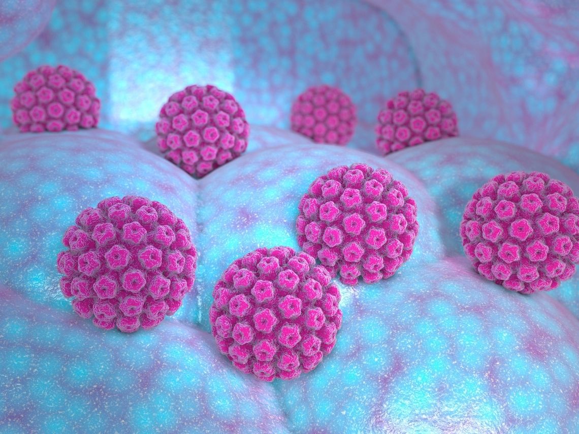 Virus del papiloma humano: qué es, cómo se contagia, cómo se detecta...
