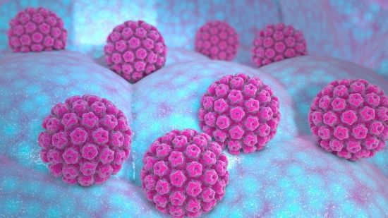 Virus del papiloma humano: qué es, cómo se contagia, cómo se detecta...