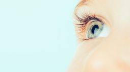 ¿Cómo se hereda el color de ojos?