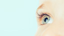 ¿Cómo se hereda el color de ojos?