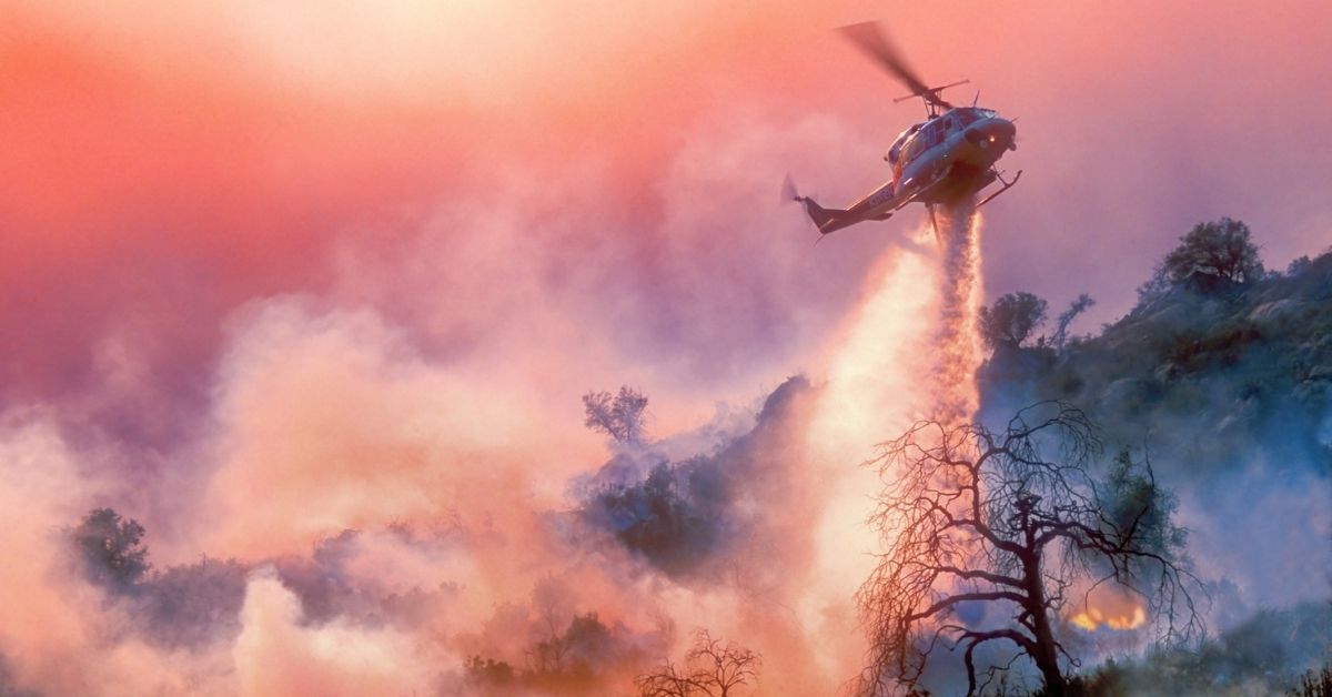 Incendios forestales y niños: ¿cómo explicar lo que está pasando para que no afecte a su bienestar?