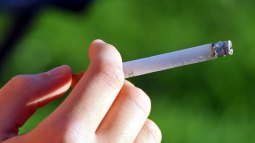 tabaco