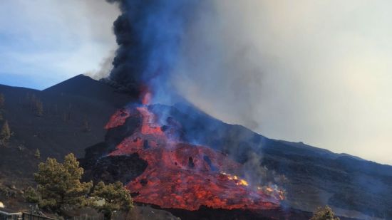la palma