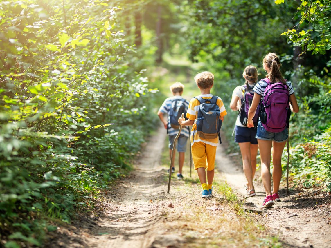 Cómo dar un paseo por la naturaleza con niños