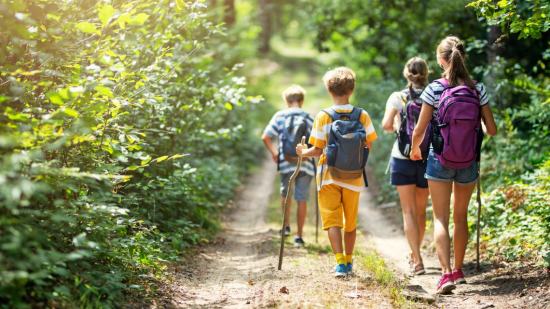 Cómo dar un paseo por la naturaleza con niños