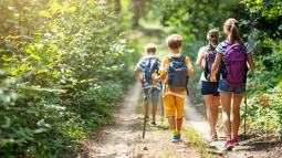 Cómo dar un paseo por la naturaleza con niños