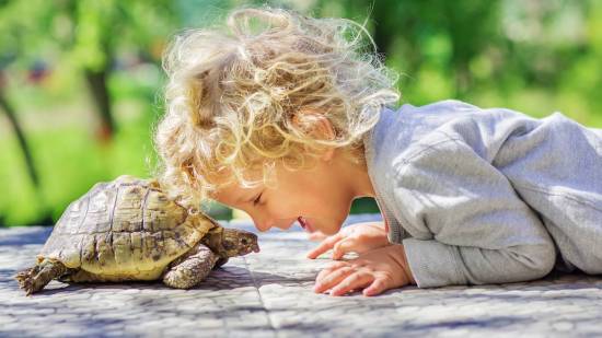 Reptiles en casa y niños, ¿es una buena idea?