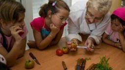 Taller de cocina en el Mercado