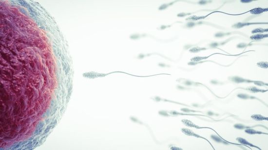 Fertilidad masculina: ¿hasta qué edad pueden tener hijos los hombres?