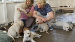 10 películas para enseñar a tus hijos a respetar a los animales