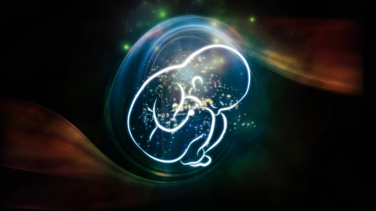 placenta.3