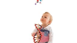 6 pilares del método Montessori