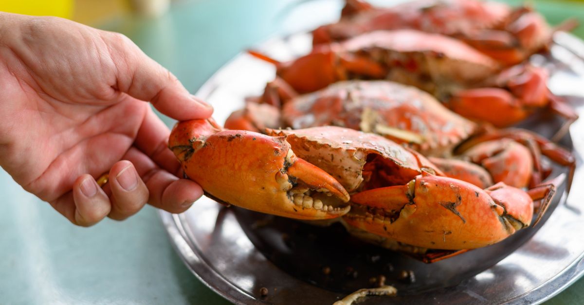 ¿Se puede comer cangrejo durante el embarazo? ¿Y langosta?