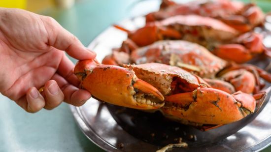 ¿Se puede comer cangrejo durante el embarazo? ¿Y langosta?