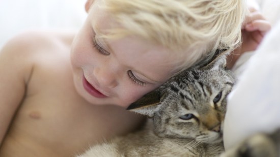 Bebé con un gato