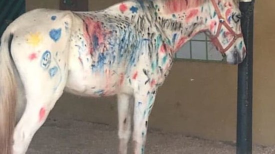 Caballo pintado