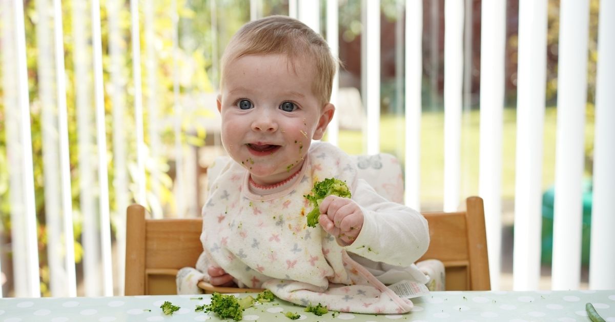 Libros con las recetas que necesitas para empezar Baby Led Weaning con tu bebé