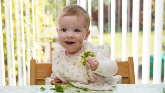 Libros con las recetas que necesitas para empezar Baby Led Weaning con tu bebé