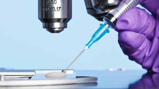Inseminación artificial