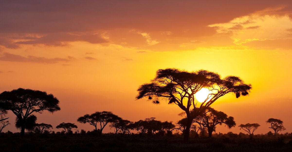 Día de África: 10 películas para que tu hijo conozca el continente africano