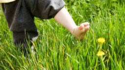 Andar descalzo… ¡qué buena idea!