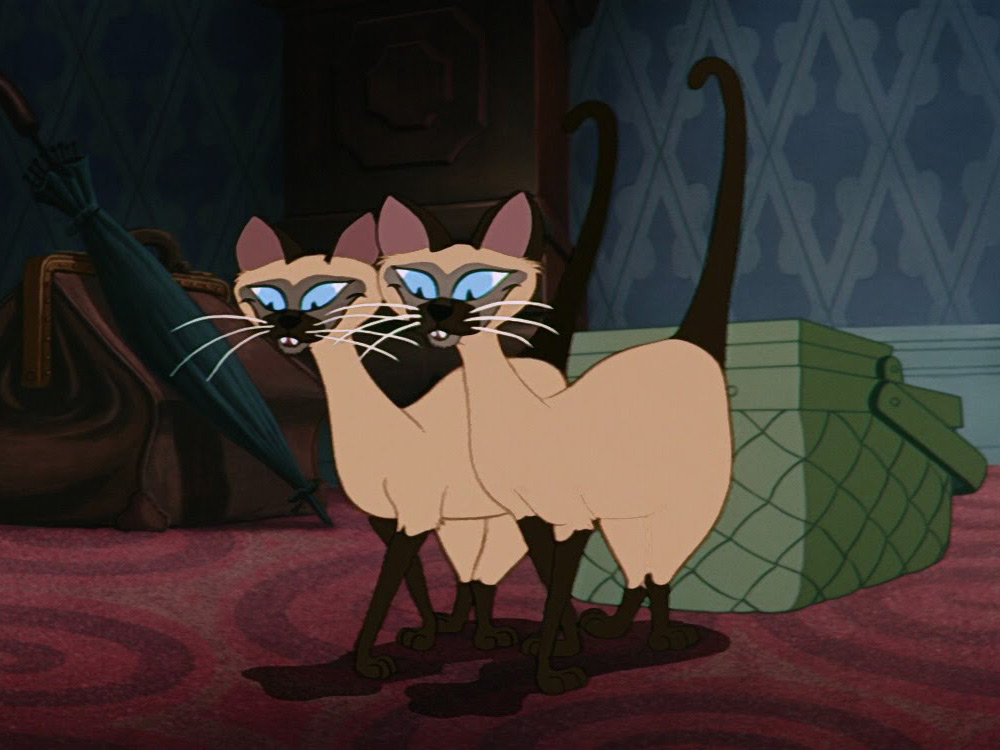Si y Am, los gatos siameses