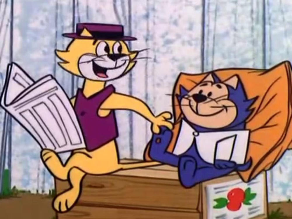 Don Gato