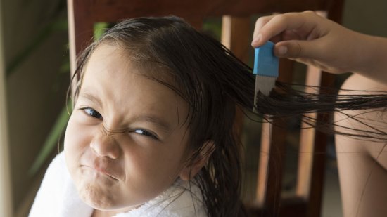 10 medidas para prevenir y eliminar los piojos