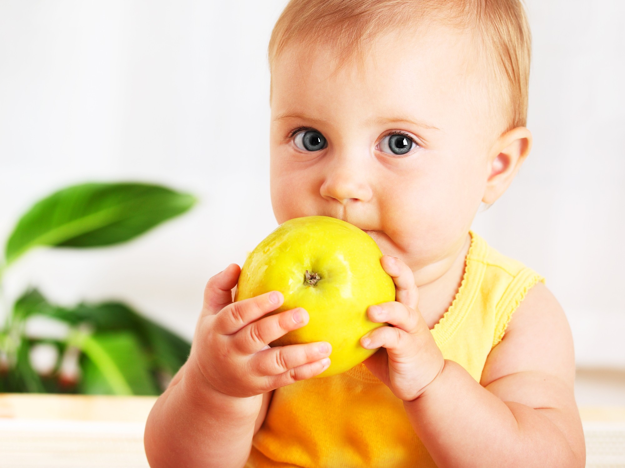 Alimentación complementaria