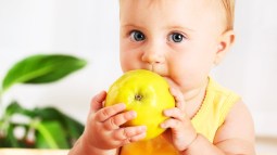 Alimentación complementaria