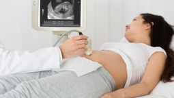 Funciones de la placenta