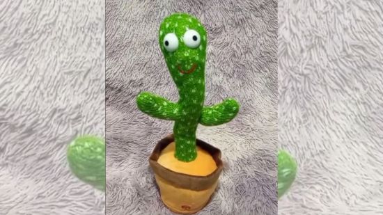 ¿Es, de verdad, inofensivo el cactus bailarín para tus hijos?